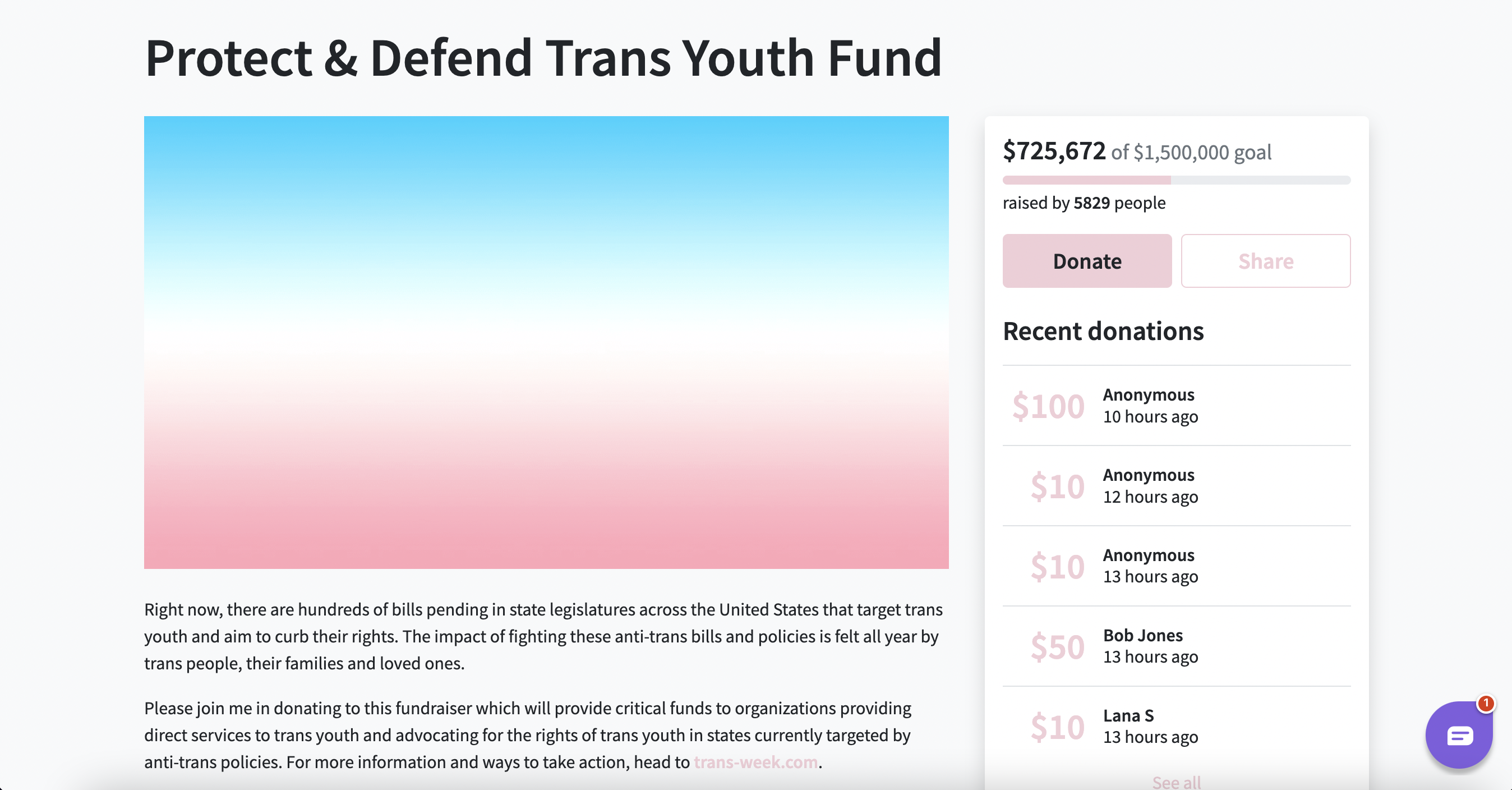 Ariana Protect & Defend Trans Youth Fund